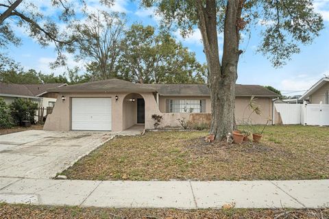 A home in TAMPA