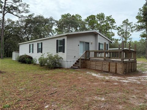 Photo of 16837 Akins Drive, Spring Hill, FL 34610 (MLS # TB8422868)