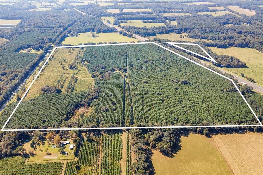 One of the most beautiful parcels left in the county with Rolling hills on an old plantation this large timber tract is a rare gem. On a high elevation in Alachua County, 146 intact acres with a natural pond and wide tree rows and has been well maintained. Currently the back 3/4's of the property is planted in 10-year-old slash pines currently being harvested for straw at $125 an acre. The front acreage is planted in 3-year-old slash pines. This parcel has never been split leaving so many options for future usage. Development, hunting, harvesting, or a personal home and farm whatever you choose you can't go wrong with this piece. Easy access from a paved county road that is 3 miles to Alachua, 5 miles to High Springs, a short drive to Gainesville with 2 separate I 75 ramps within 3 miles of the property. Several springs, rivers, and plenty of recreation for the boating, fishing, and outdoor enthusiast is nearby. Close to Shands, UF, and North Fl Regional