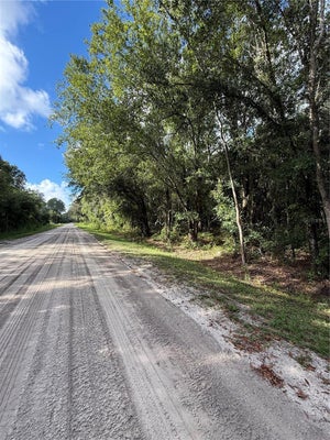 1166 HONEYTREE ST, BUNNELL, FL 32110 - Image 6e8d1bee32effc7e309f7f67683bc312/369548900