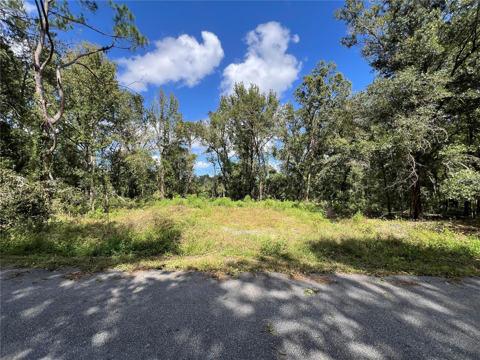 SILVER SPRINGS SHORES - Land