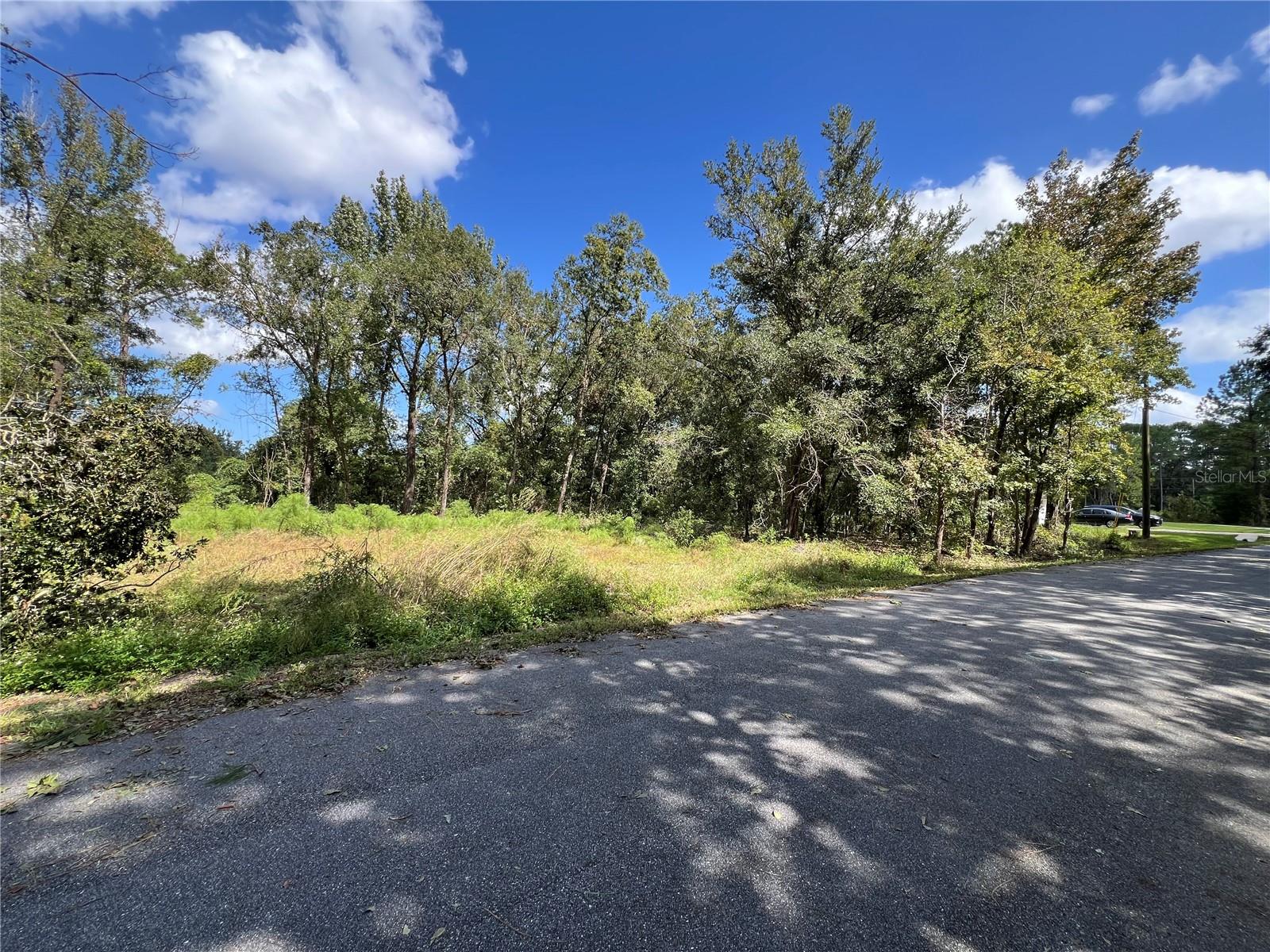 SILVER SPRINGS SHORES - Land