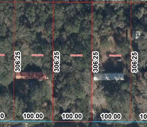 Tiny photo for Tbd NW 167th Place, Trenton, FL 32693 (MLS # GC542451)