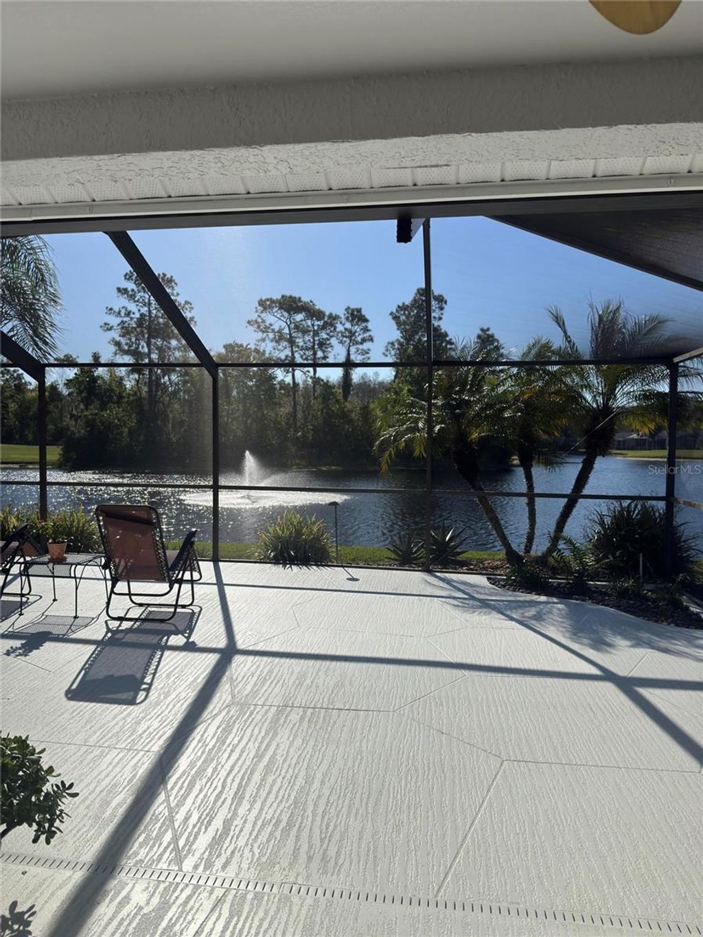 Photo of 8144 Sanguinelli Road, Land O Lakes, FL 34637 (MLS # O6393277)