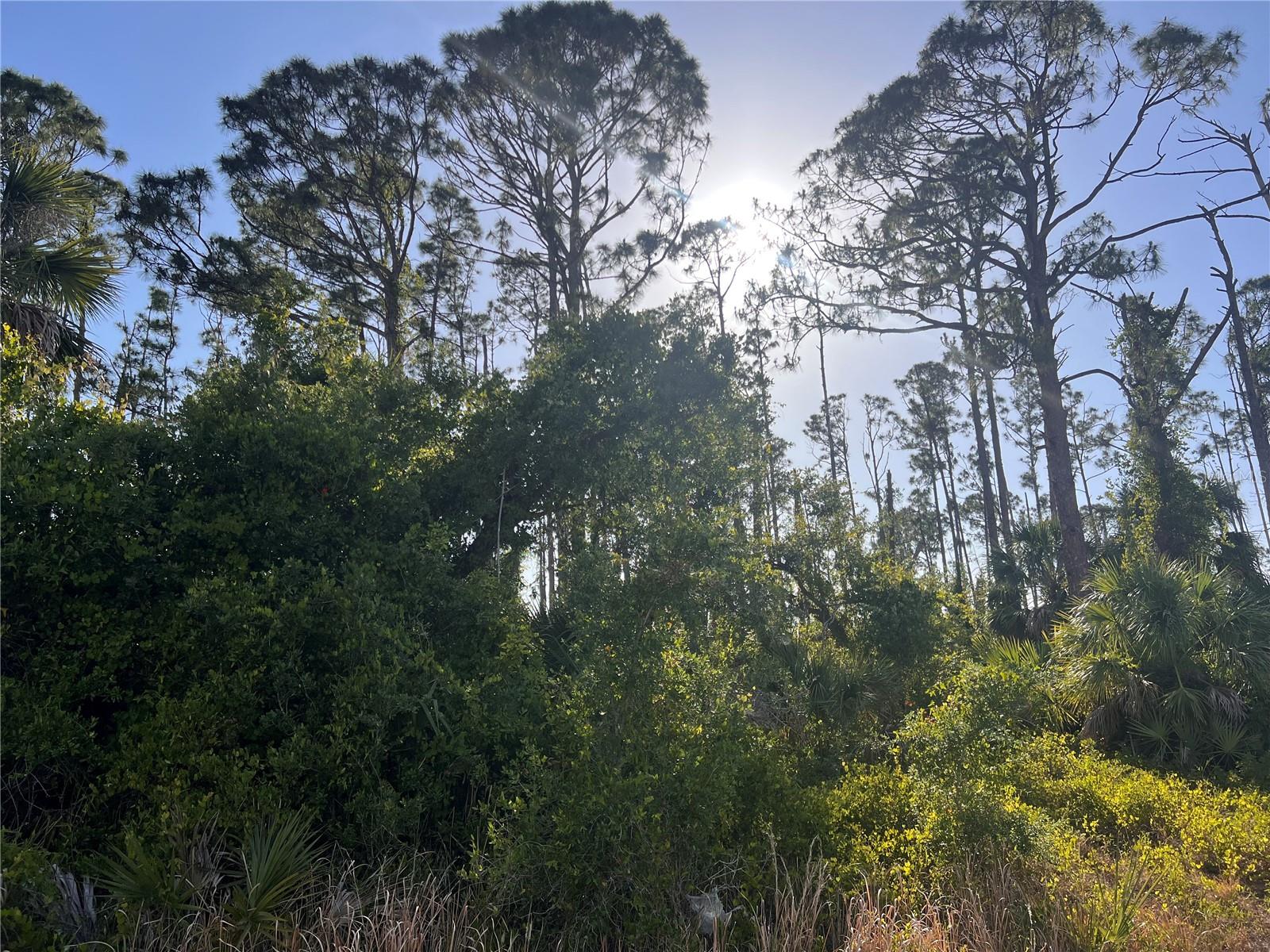 Welcome to your slice of paradise! This incredible vacant lot offers the perfect opportunity to build the home you’ve always dreamed of — right in the heart of the rapidly growing and highly desirable city of North Port. Enjoy the peaceful waterfront lifestyle with a serene canal right in your backyard, providing beautiful views, added privacy, and the perfect setting for relaxation or outdoor fun. Across the canal is the Charlotte Harbor National Golf Club at Bobcat Trail. Off the beaten path, but easily accessible to schools, entertainment, shopping, and restaurants.