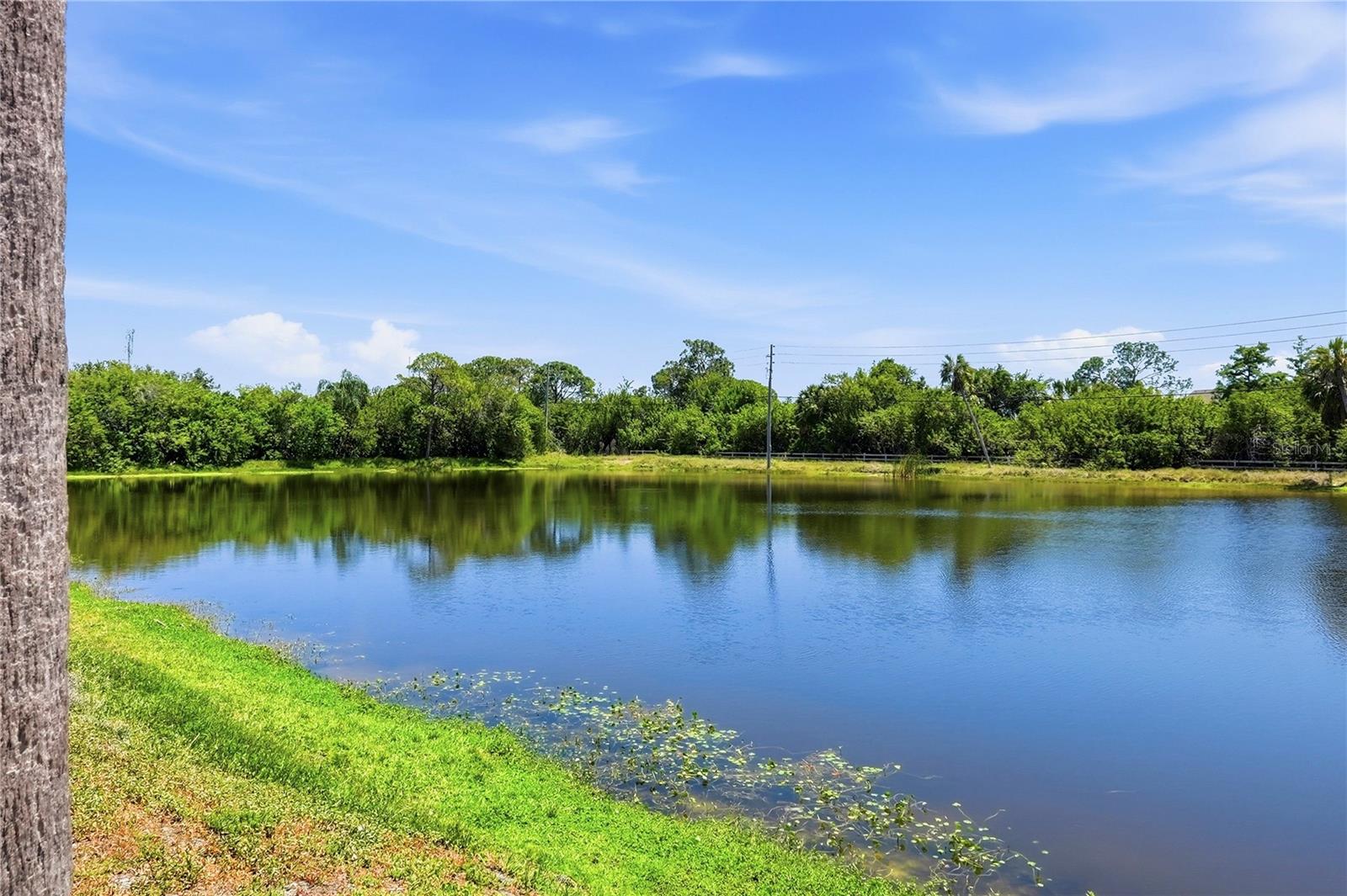 PEPPERTREE LAKE CONDO - Residential