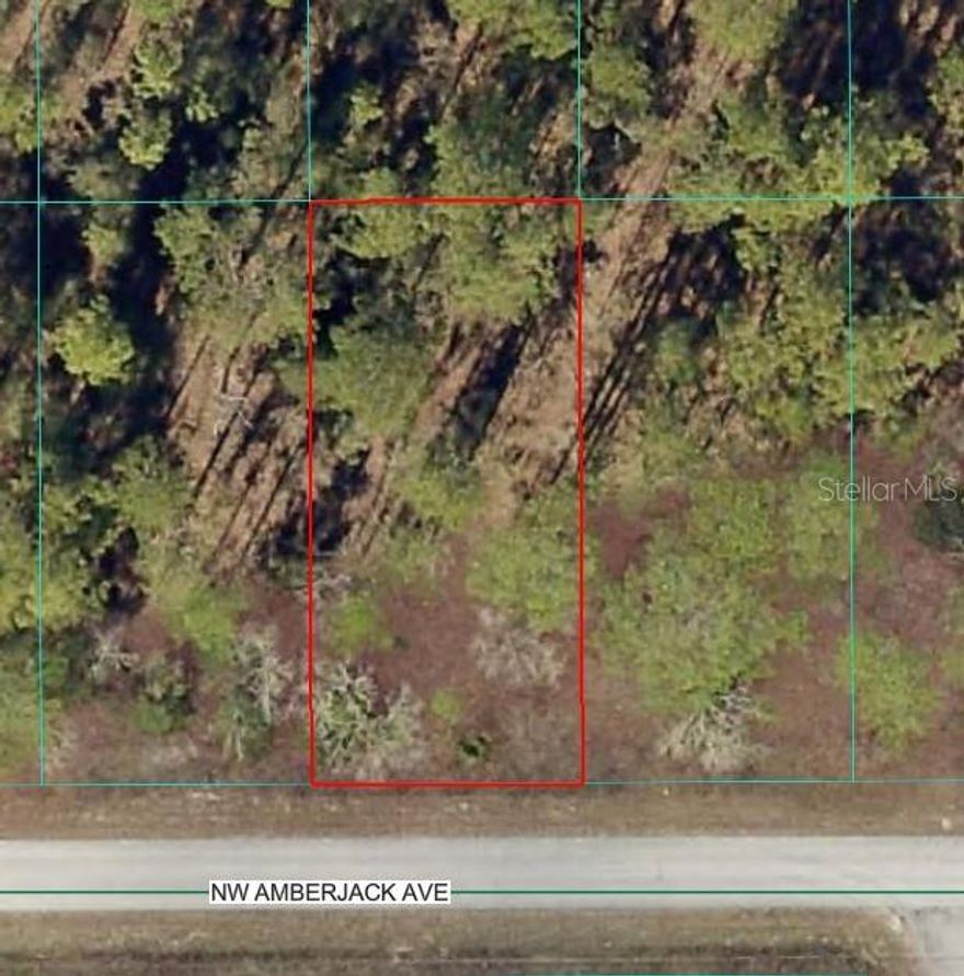 Discover a great opportunity in Rainbow Lakes Estates in Dunnellon, a peaceful community near Rainbow Springs State Park and the Rainbow River. This mostly cleared, R-1 zoned lot sits on a paved road and offers the freedom of no HOA. Build your custom home now or hold the property as a smart investment for the future. Enjoy a quiet setting with easy access to outdoor recreation, shopping, dining, and everyday conveniences. More lots available, making this a perfect option for homeowners or investors looking to secure land in a growing area of North Central Florida.