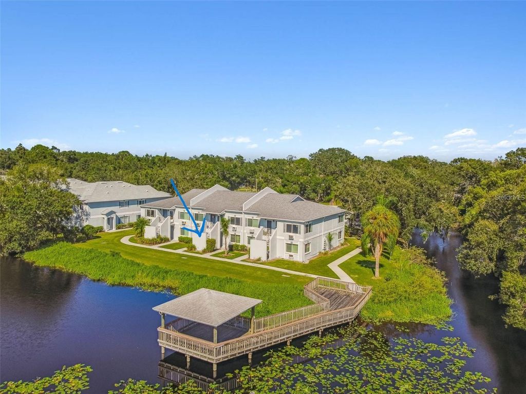 Photo of 4141 Dolphin Drive #4141, Tampa, FL 33617 (MLS # TB8493625)