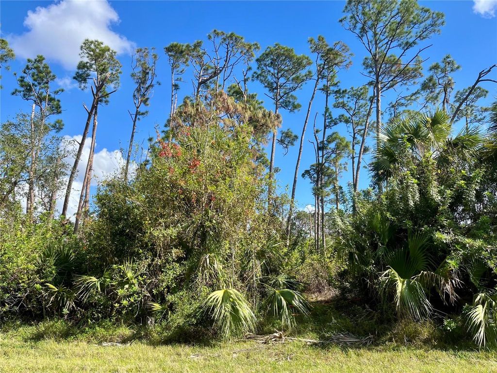 Photo of 4142 Winona Street, Port Charlotte, FL 33948 (MLS # C7502751)