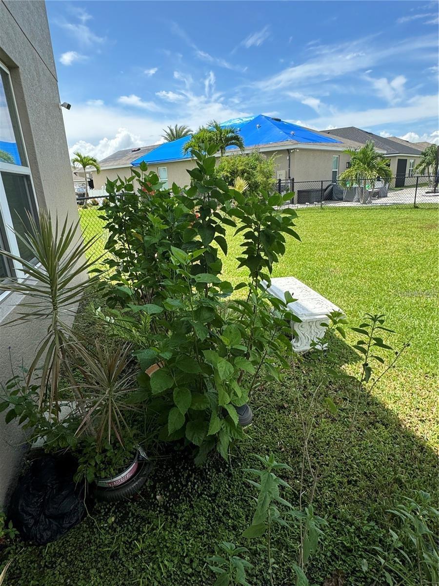 TOWN LAKES PH 4 - Residential