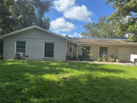 Photo of 15307 Indian Head Drive, Tampa, FL 33618 (MLS # G5101154)