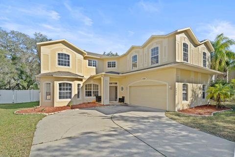 Photo of 5042 Rishley Run Way, Mount Dora, FL 32757 (MLS # O6374728)