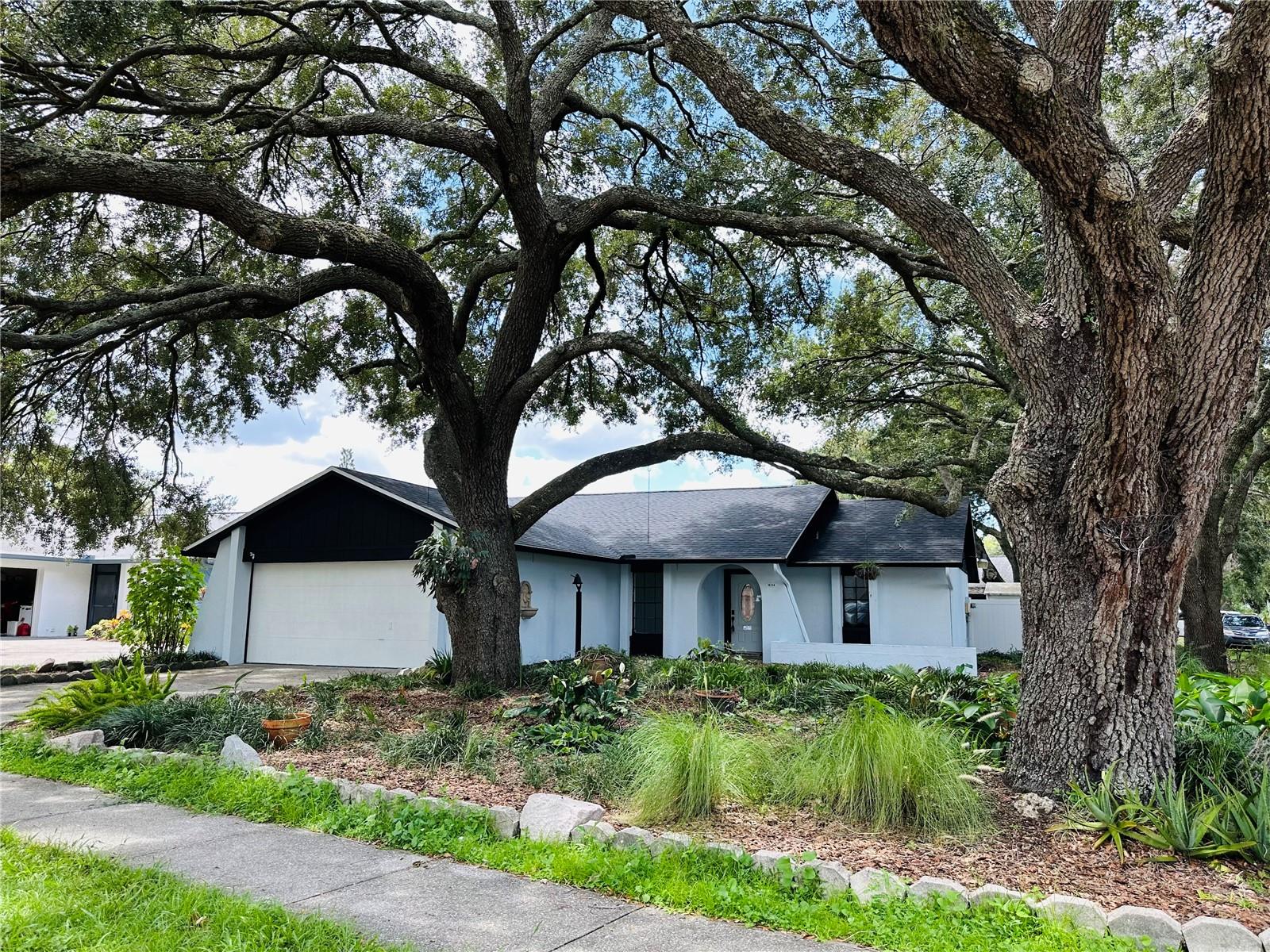 Welcome to this newly renovated home located in the lovely Carrollwood area, where modern updates meet timeless charm. Step through the front door into a bright and inviting living area with luxury flooring throughout the home", The living area flows into the formal dining room, ideal for hosting family gatherings & entertaining, with an adjacent eat-in kitchen area for casual meals. The kitchen is completely renovated with plenty of cabinet and counter space with stunning finishes. and plenty of counter & cabinet space. Step outside to the screened-in back patio as well as a fenced in backyard to provide privacy. This home also includes a spacious, attached 2-car garage and an expansive driveway, providing plenty of parking and storage options. Seamlessly blending prime location, exquisite renovations, and a peaceful outdoor retreat, you don't want to miss out on the best of Carrollwood living!