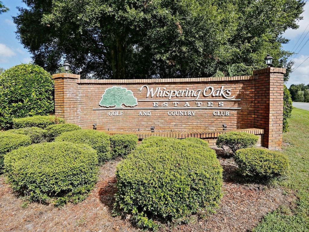 Photo of 35040 Smoketree Lane, Dade City, FL 33523 (MLS # TB8556406)