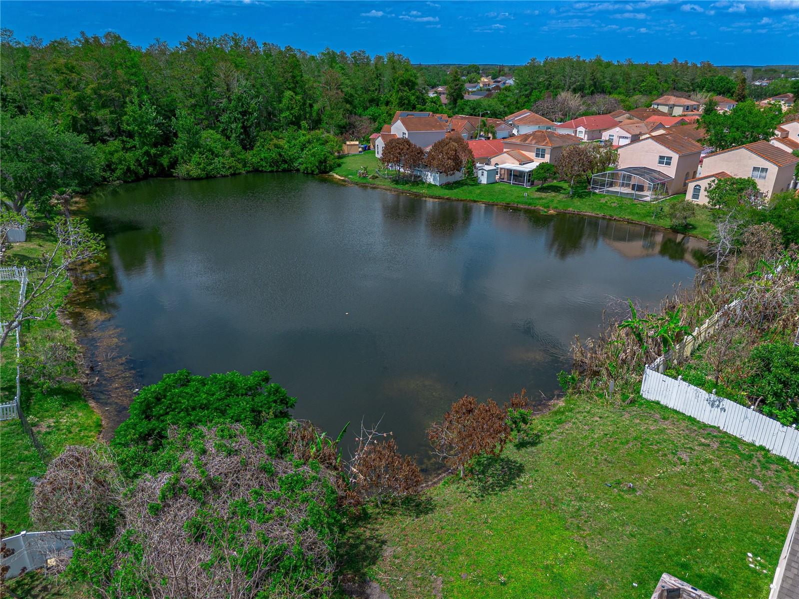 MARISOL - Residential