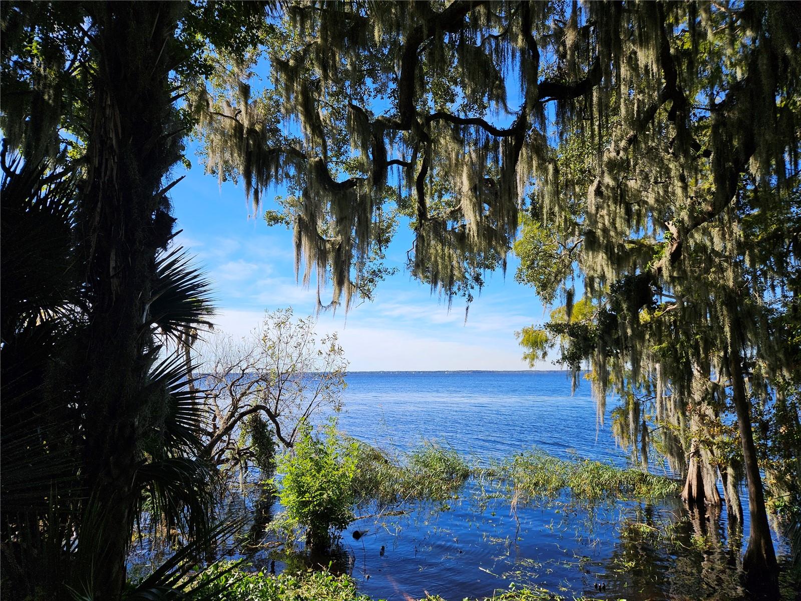 EDGEWATER CONDO APTS - Residential