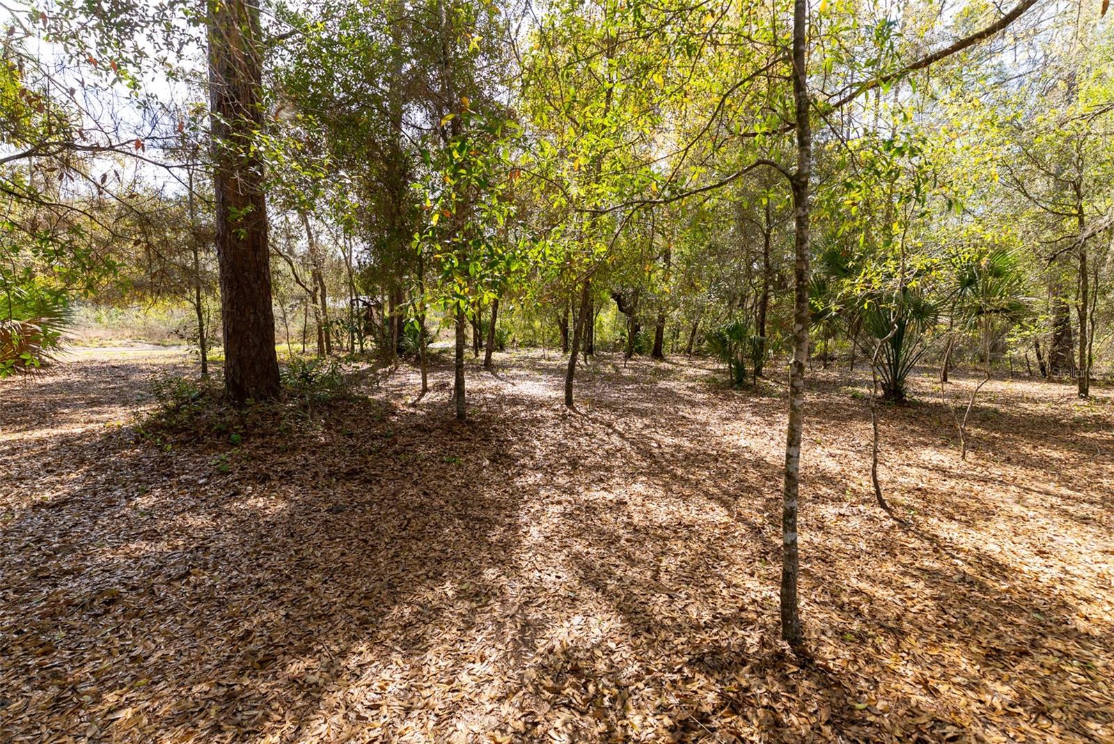 EUREKA SHORES - Residential