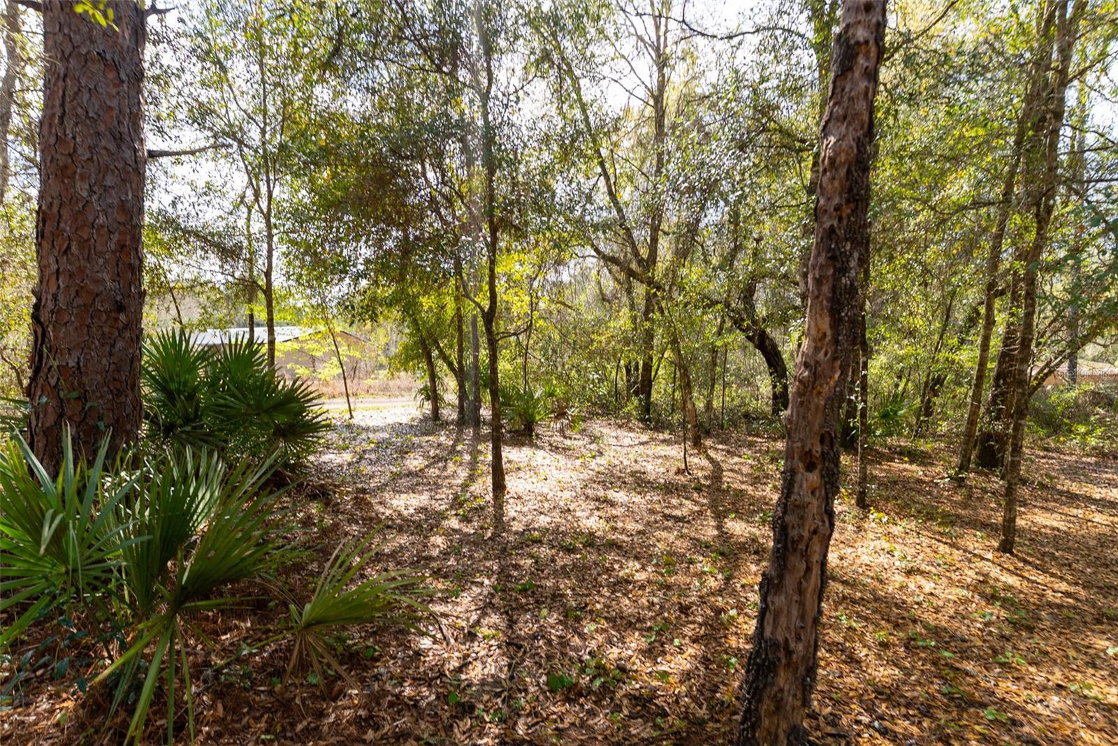 EUREKA SHORES - Residential