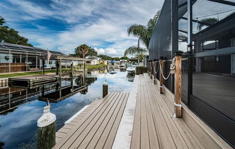 A home in PALM HARBOR