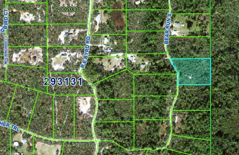 BLUE JORDAN FOREST - Land