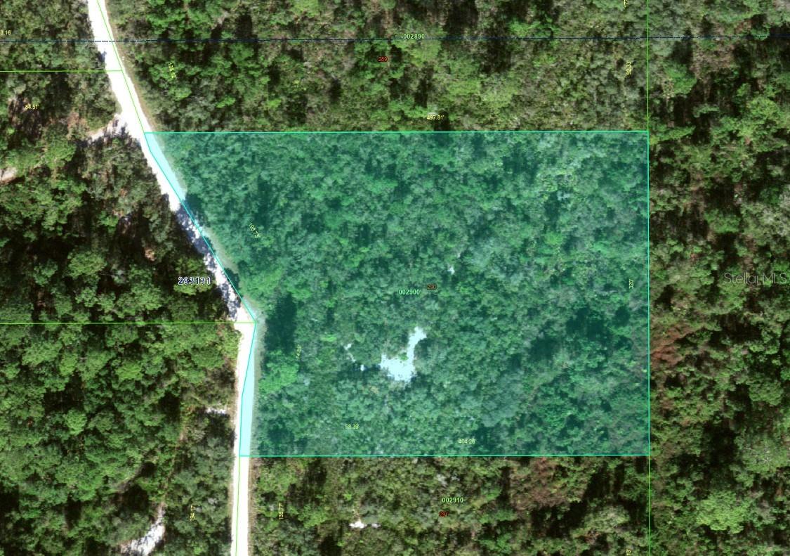 BLUE JORDAN FOREST - Land