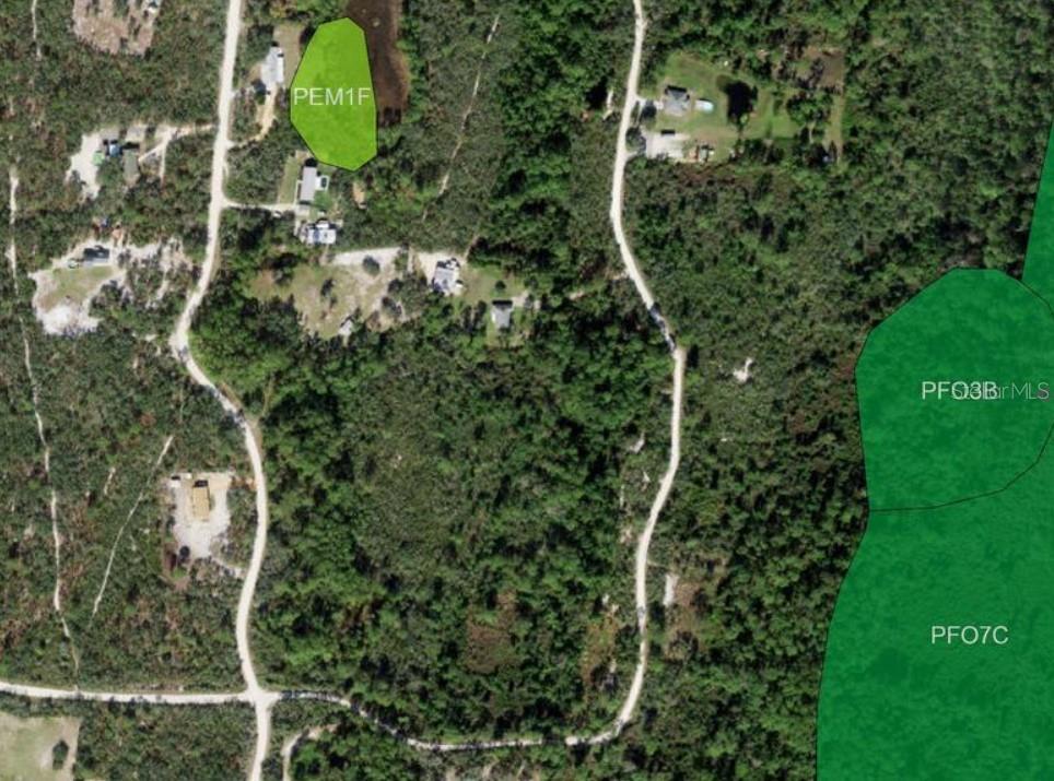 BLUE JORDAN FOREST - Land