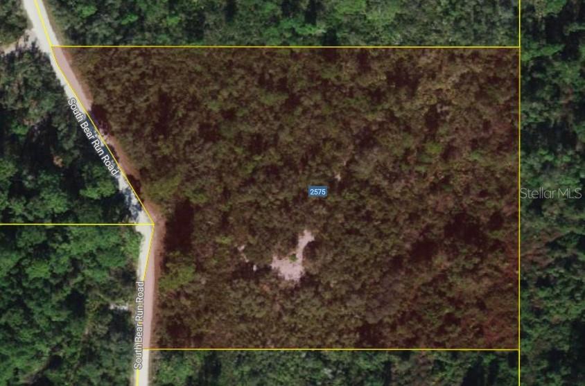 BLUE JORDAN FOREST - Land