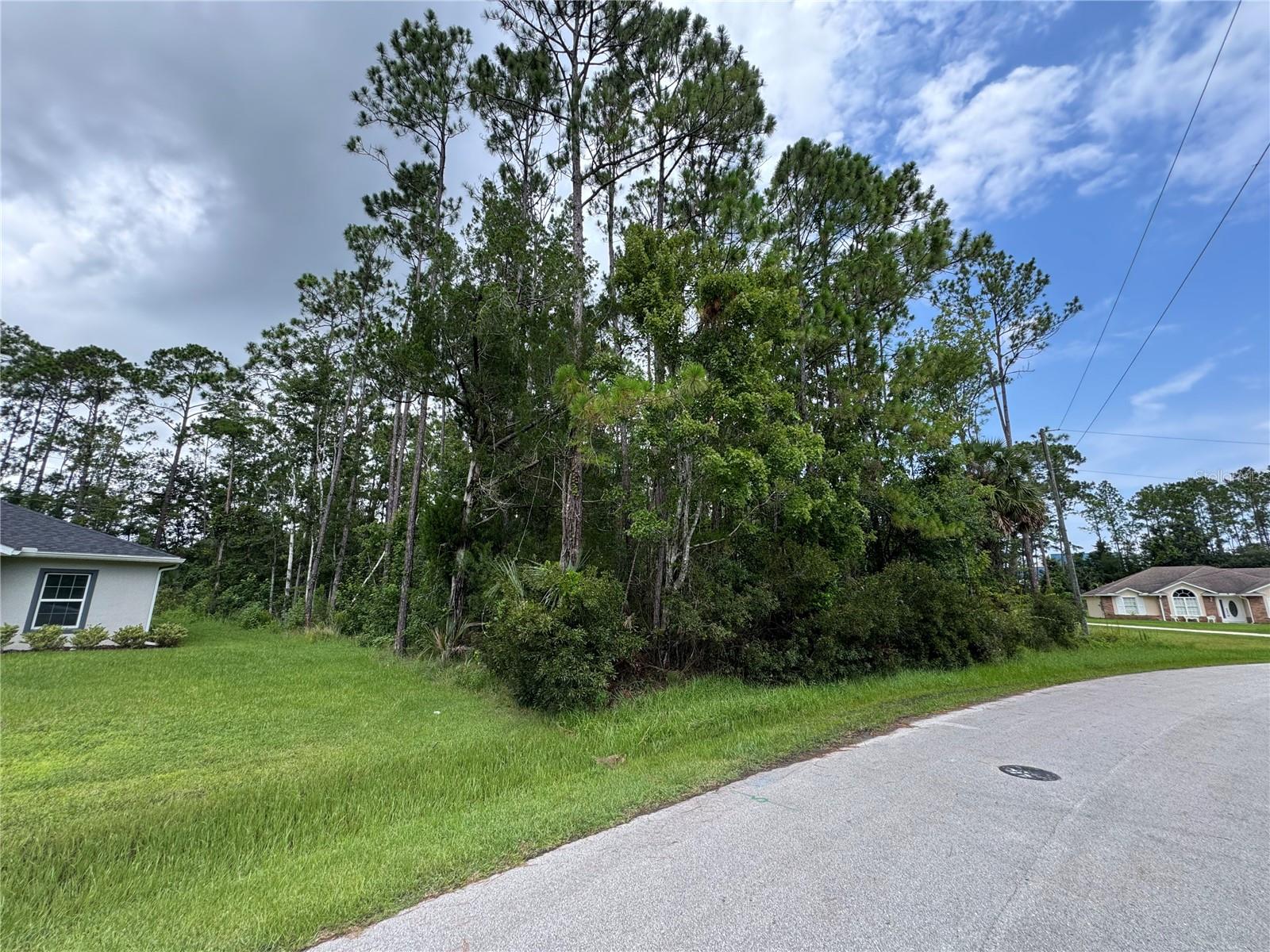 VACANT LAND IN PINE LAKES! Come build your dream home in the coveted Pine Lakes area of Palm Coast! Like to golf? The Pine Lakes golf course is 7 minutes away! Property is located for easy access to US 1 and I-95. Enjoy a short drive into the heart of Palm Coast where you will find shopping, entertainment, hospitals, nature parks, restaurants, and more! Less that 20 minutes to Flagler Beach!