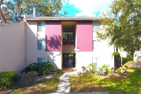 A home in TAMPA