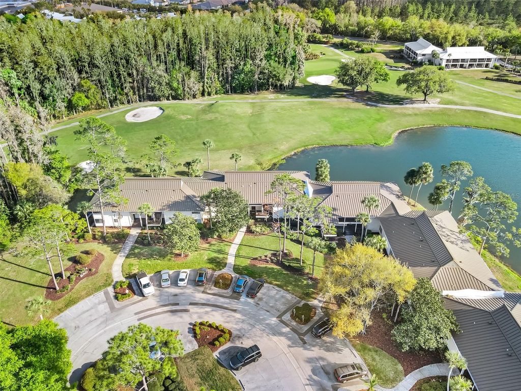 Photo of 29300 Bay Hollow Drive #3250, Wesley Chapel, FL 33543 (MLS # TB8485371)