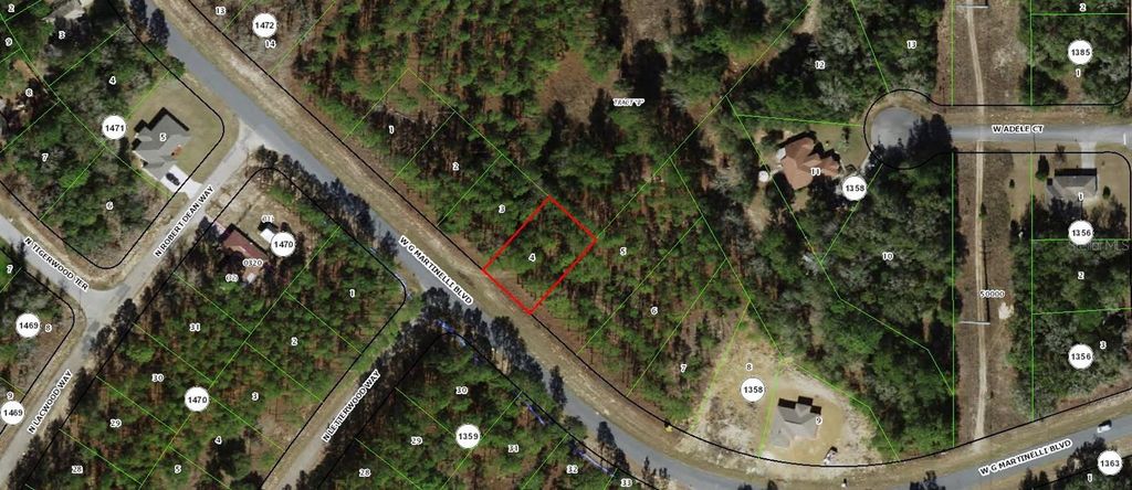 Photo of 1605 W G Martinelli Boulevard, Citrus Springs, FL 34434 (MLS # OM711160)