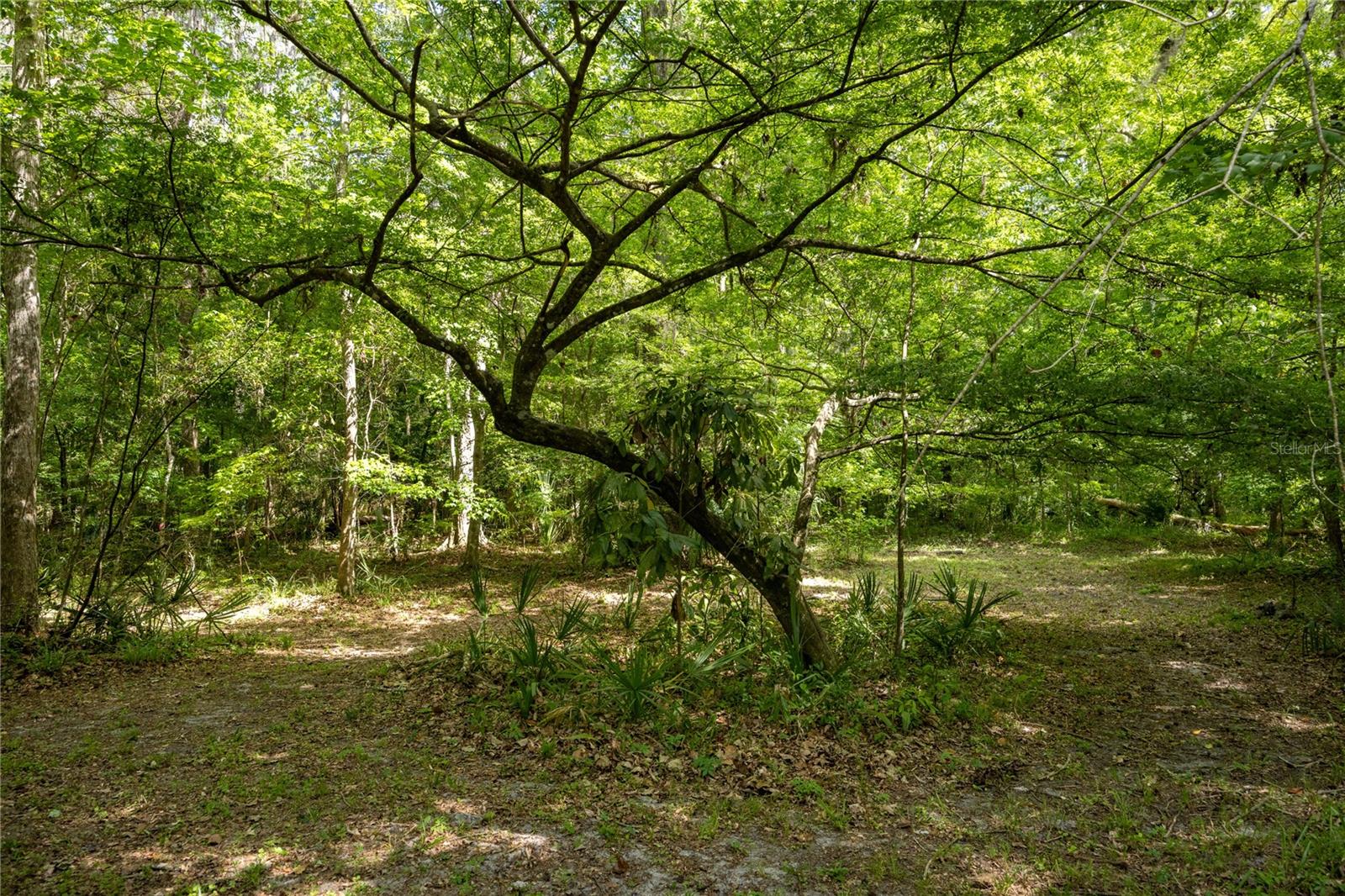 ROCK CREEK - Residential