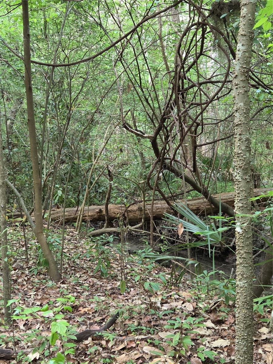 ROCK CREEK - Residential