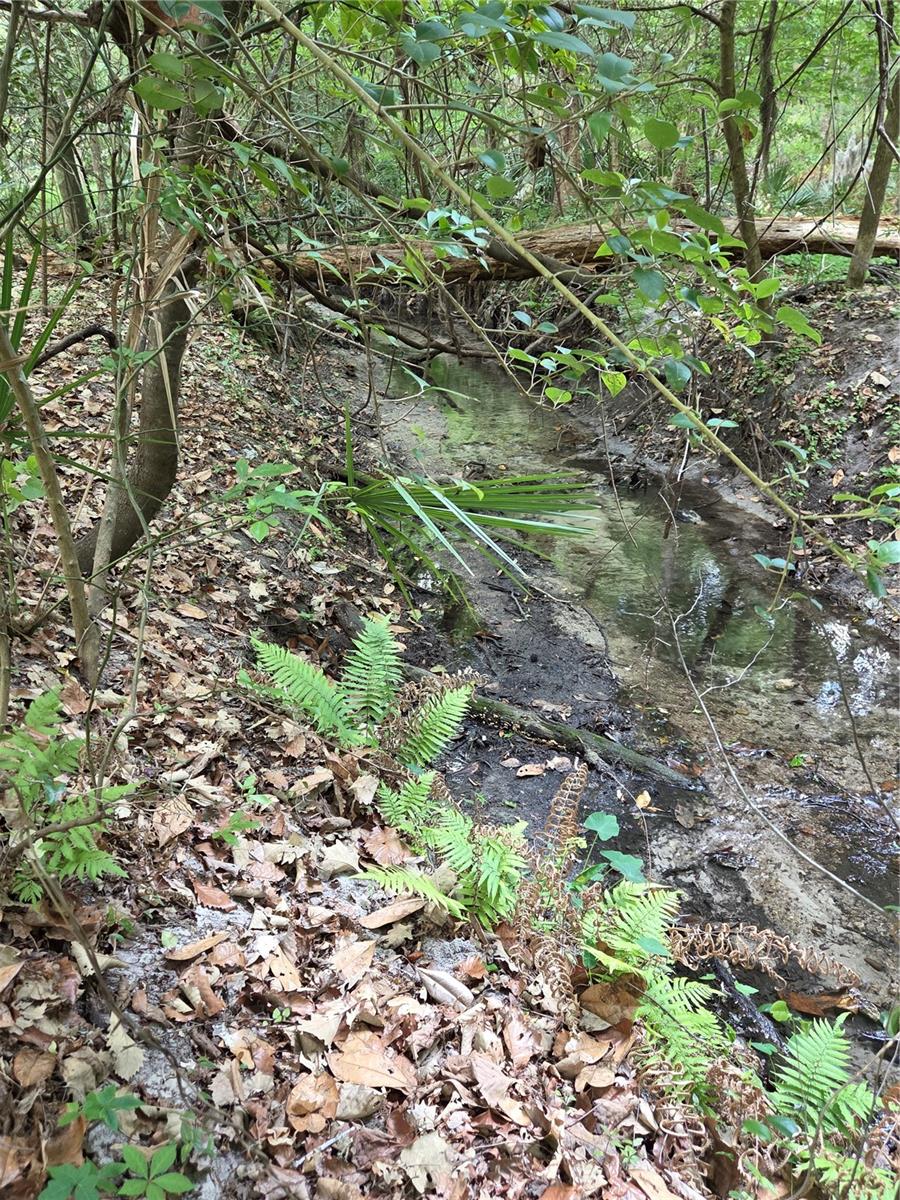 ROCK CREEK - Residential