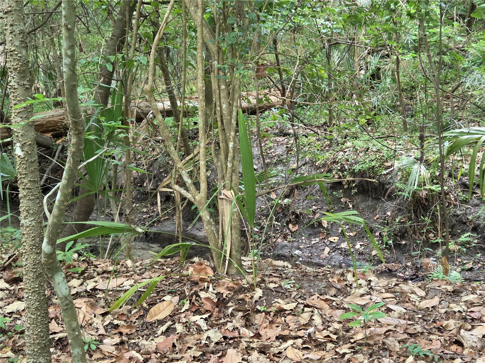 ROCK CREEK - Residential