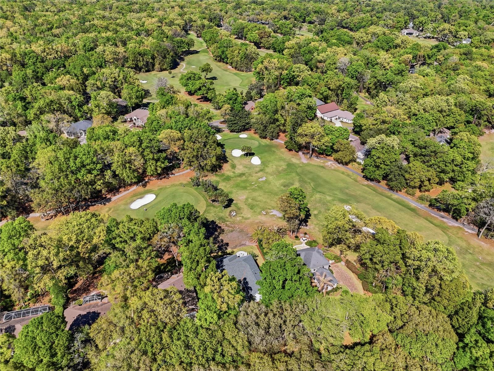 HAILE PLANTATION - Residential