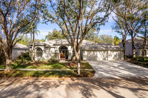 A home in TAMPA