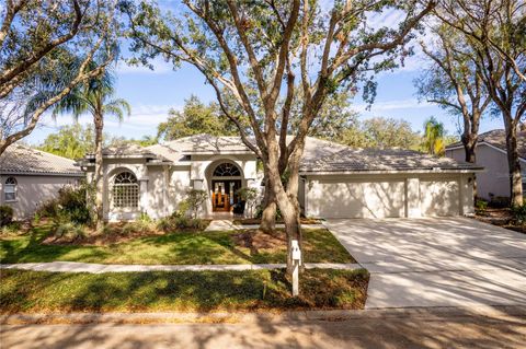 A home in TAMPA