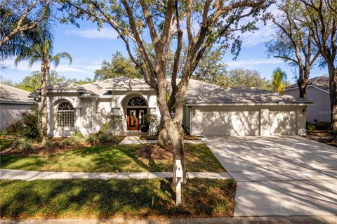 A home in TAMPA