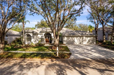 A home in TAMPA