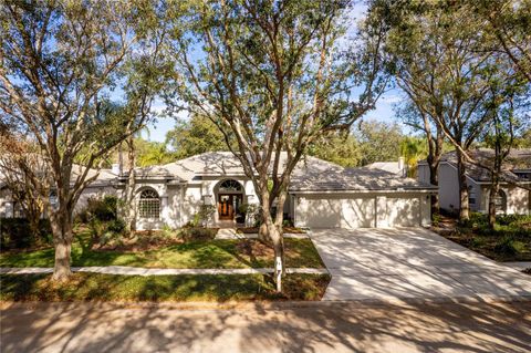 A home in TAMPA