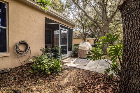 A home in PLANT CITY