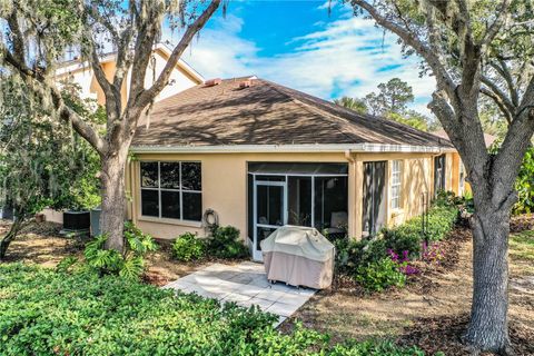 A home in PLANT CITY