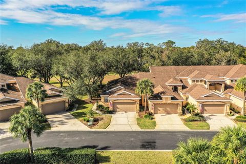 A home in PLANT CITY