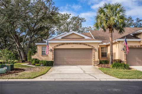 A home in PLANT CITY