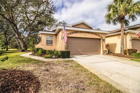 A home in PLANT CITY