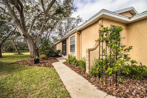 A home in PLANT CITY