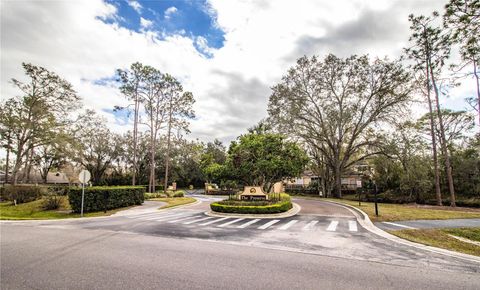 A home in PLANT CITY