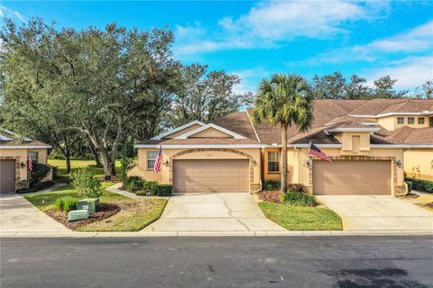 A home in PLANT CITY