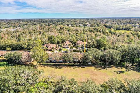 A home in PLANT CITY